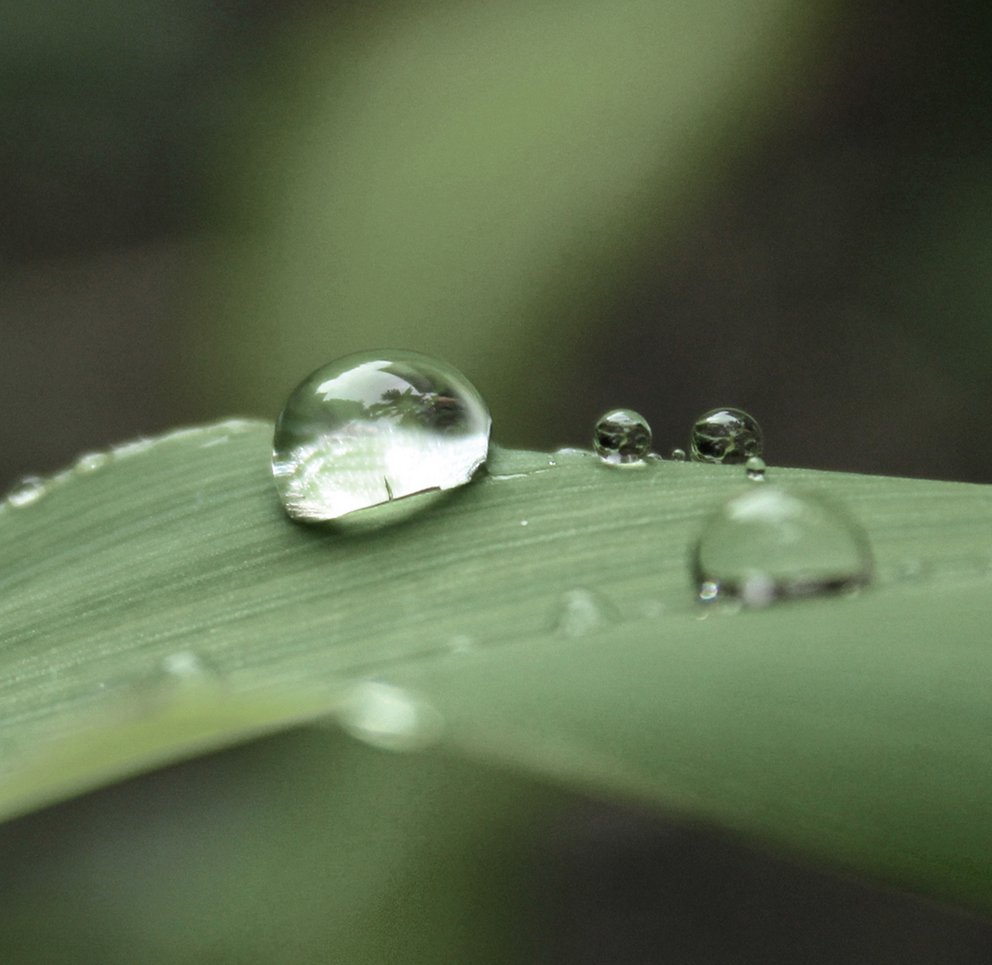 My bioLUXE Aloe Vera und Hyaluron